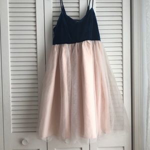 LC Runway blush tulle and velvet backless dress